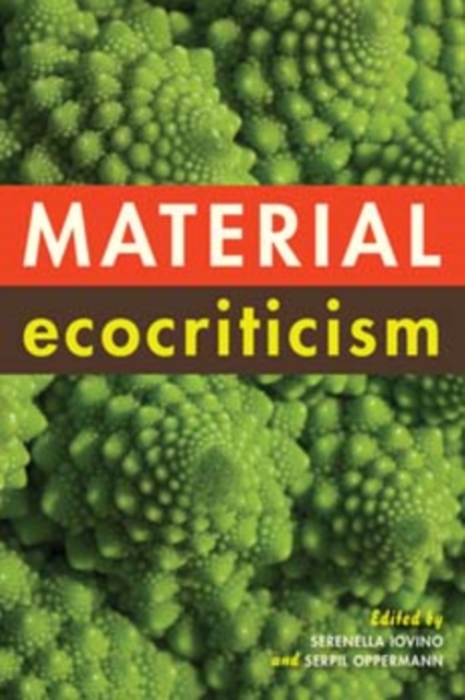 Material Ecocriticism, Paperback / softback Book