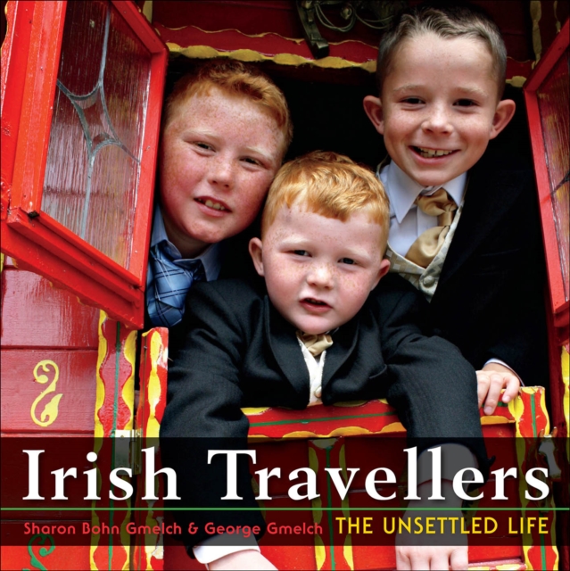 Irish Travellers : The Unsettled Life, EPUB eBook
