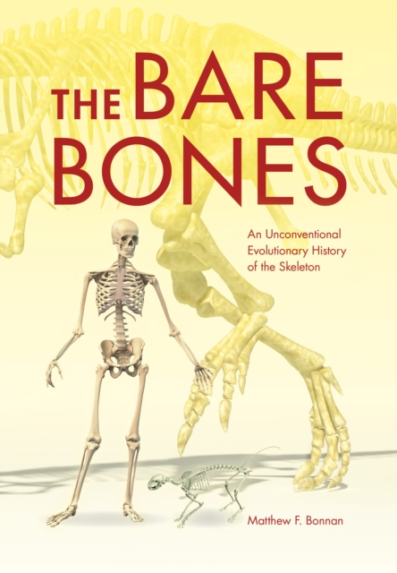 The Bare Bones : An Unconventional Evolutionary History of the Skeleton, Hardback Book