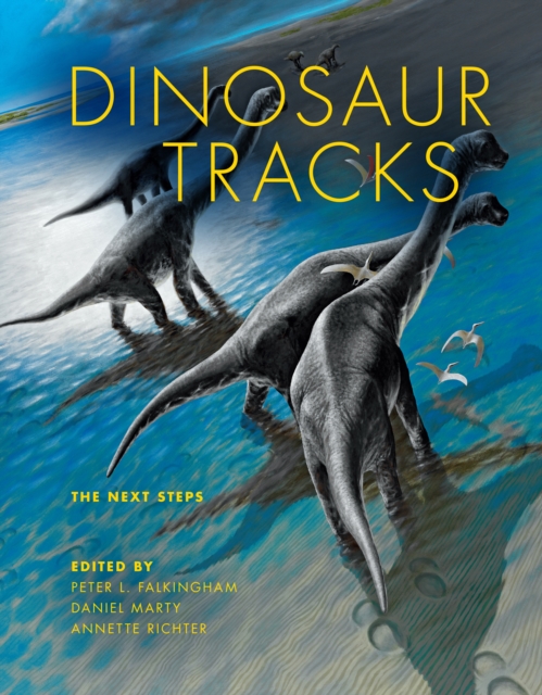Dinosaur Tracks : The Next Steps, EPUB eBook