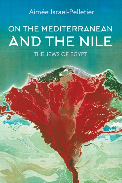 On the Mediterranean and the Nile : The Jews of Egypt, EPUB eBook