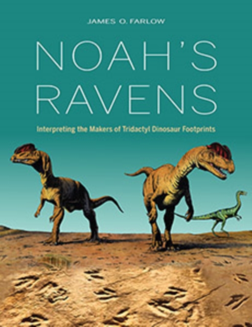 Noah's Ravens : Interpreting the Makers of Tridactyl Dinosaur Footprints, Hardback Book