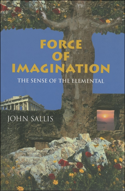 Force of Imagination : The Sense of the Elemental, EPUB eBook