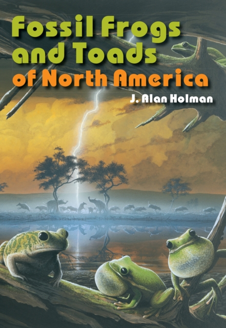 Fossil Frogs and Toads of North America, Paperback / softback Book