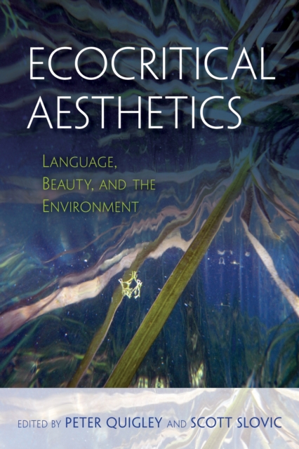 Ecocritical Aesthetics : Language, Beauty, and the Environment, Paperback / softback Book