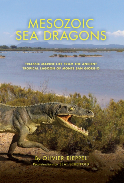 Mesozoic Sea Dragons : Triassic Marine Life from the Ancient Tropical Lagoon of Monte San Giorgio, EPUB eBook