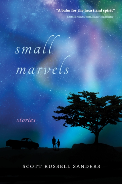 Small Marvels : Stories, Hardback Book