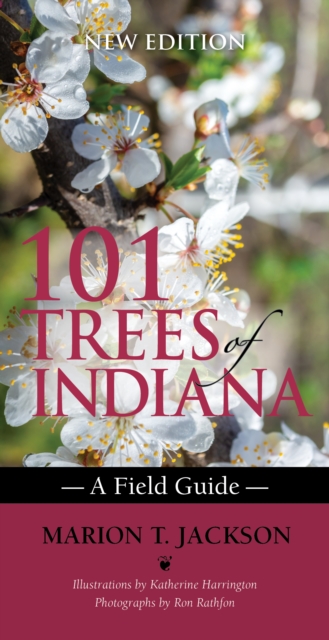 101 Trees of Indiana : A Field Guide, Paperback / softback Book