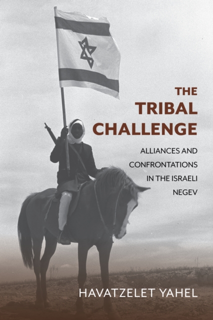 The Tribal Challenge : Alliances and Confrontations in the Israeli Negev, Hardback Book