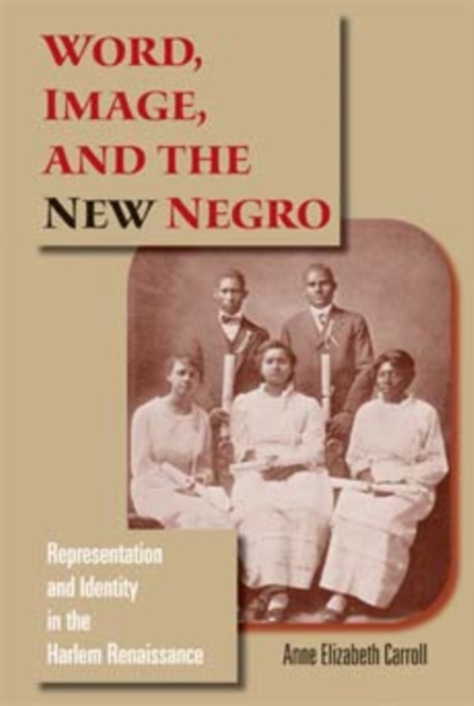 Word, Image, and the New Negro : Representation and Identity in the Harlem Renaissance, Paperback / softback Book