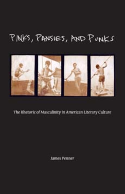 Pinks, Pansies, and Punks : The Rhetoric of Masculinity in American Literary Culture, Paperback / softback Book