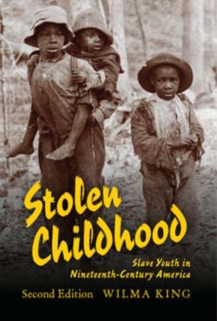 Stolen Childhood, Second Edition : Slave Youth in Nineteenth-Century America, Paperback / softback Book