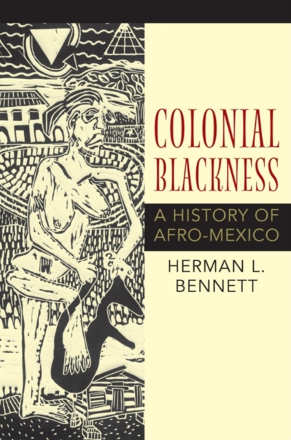 Colonial Blackness : A History of Afro-Mexico, Paperback / softback Book