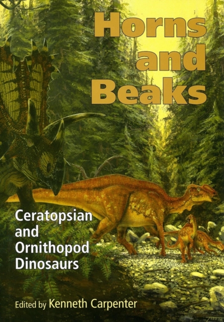 Horns and Beaks : Ceratopsian and Ornithopod Dinosaurs, Hardback Book