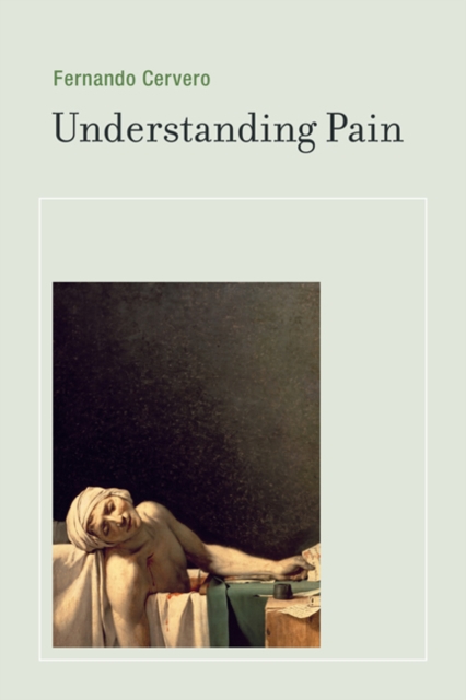 Understanding Pain : Exploring the Perception of Pain, Hardback Book