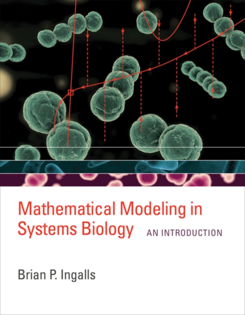 Mathematical Modeling in Systems Biology : An Introduction, Hardback Book