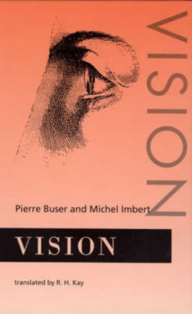 Vision, Hardback Book