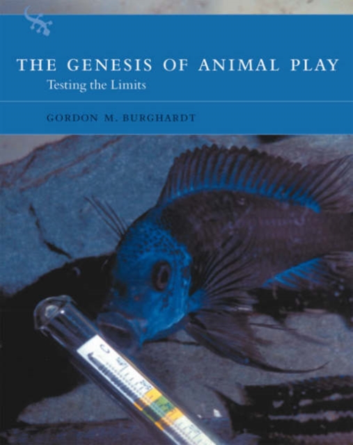 The Genesis of Animal Play : Testing the Limits, Hardback Book
