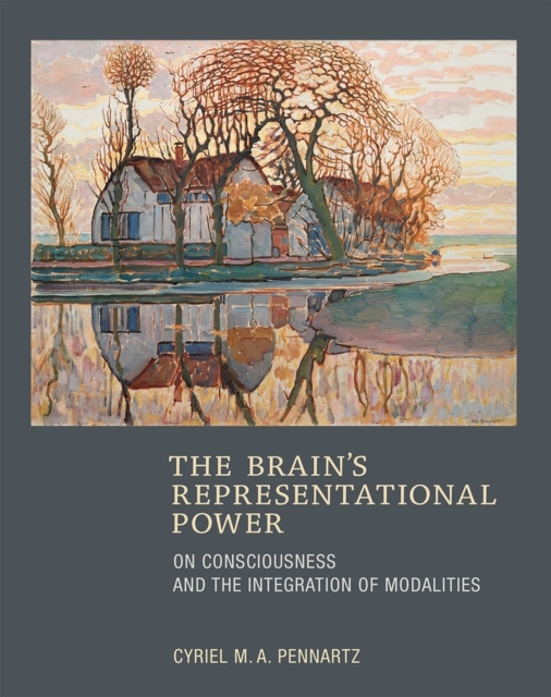 The Brain's Representational Power : On Consciousness and the Integration of Modalities, Hardback Book