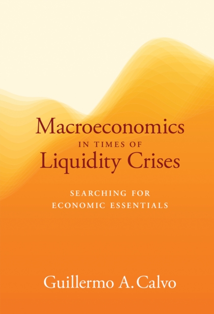 Macroeconomics in Times of Liquidity Crises : Searching for Economic Essentials, Hardback Book
