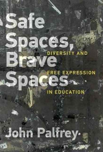 Safe Spaces, Brave Spaces : Diversity and Free Expression in Education, Hardback Book