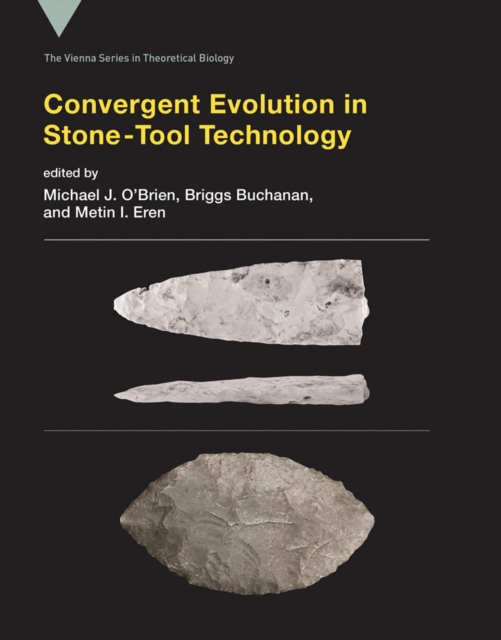 Convergent Evolution in Stone-Tool Technology, Hardback Book