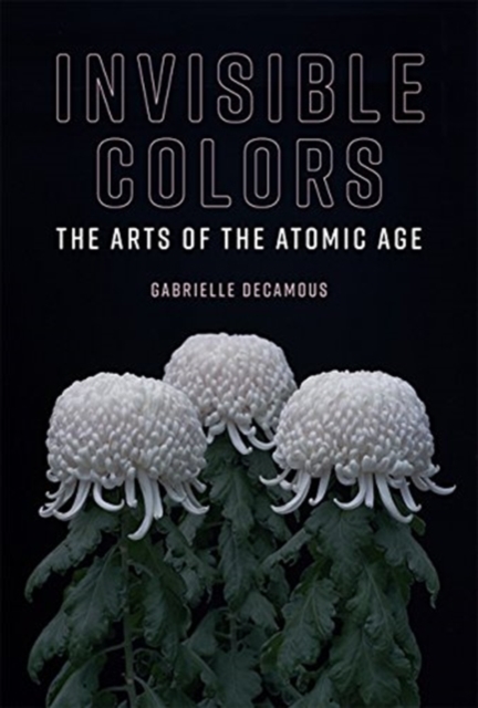 Invisible Colors : The Arts of the Atomic Age, Hardback Book