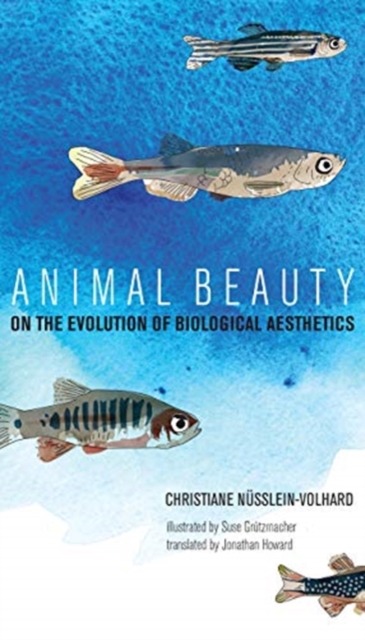 Animal Beauty : On the Evolution of Biological Aesthetics, Hardback Book