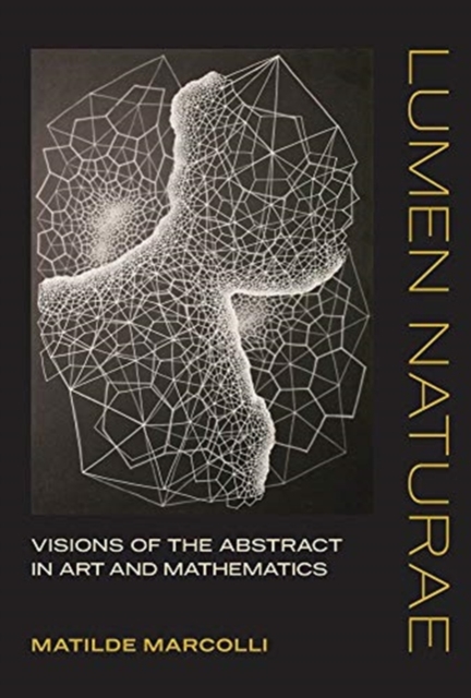 Lumen Naturae : Visions of the Abstract in Art and Mathematics, Hardback Book