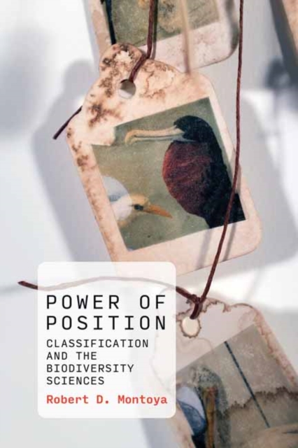 Power of Position : Classification and the Biodiversity Sciences, Paperback / softback Book