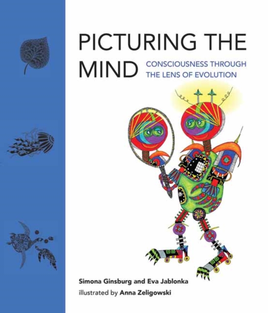 Picturing the Mind, Hardback Book
