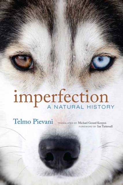 Imperfection : A Natural History, Hardback Book