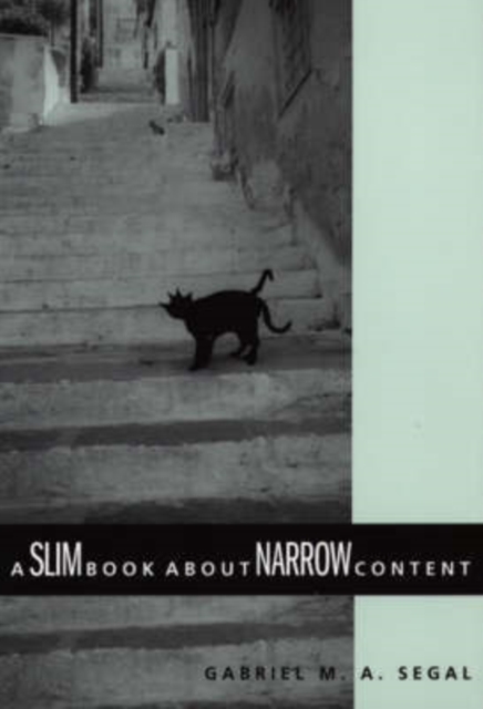 A Slim Book about Narrow Content, Hardback Book