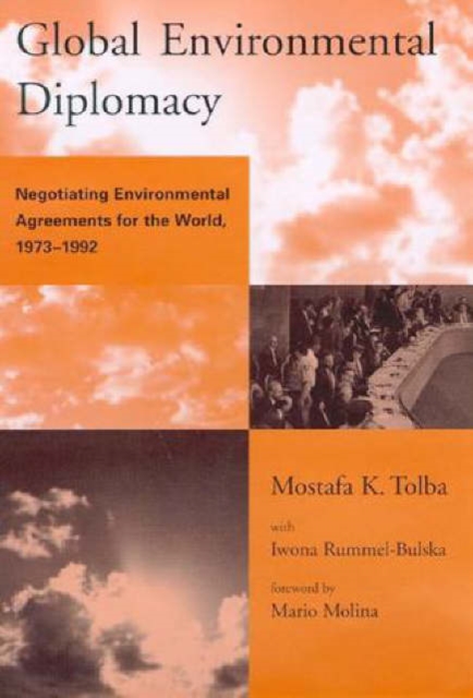Global Environmental Diplomacy : Negotiating Environmental Agreements for the World, 1973-92, Hardback Book