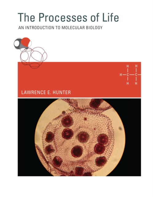 The Processes of Life : An Introduction to Molecular Biology, PDF eBook