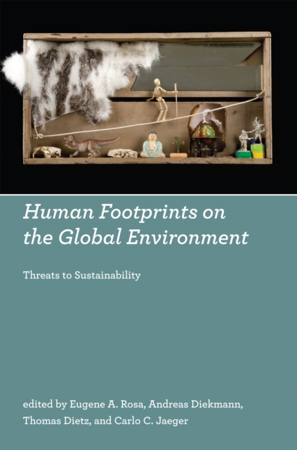 Human Footprints on the Global Environment : Threats to Sustainability, PDF eBook