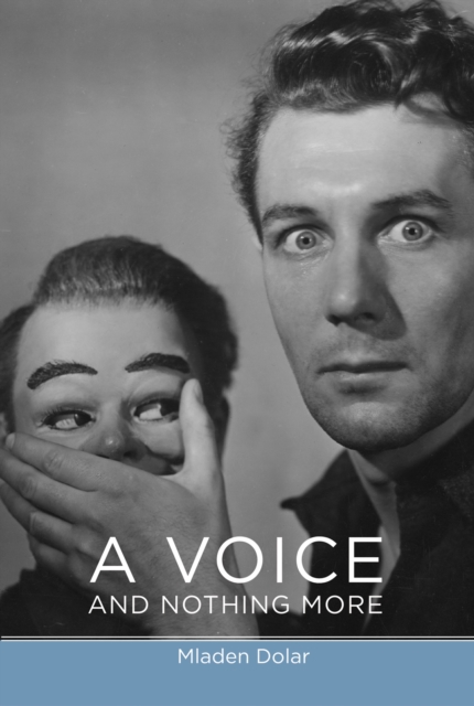 Voice and Nothing More, EPUB eBook