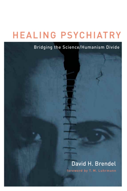Healing Psychiatry : Bridging the Science/Humanism Divide, PDF eBook
