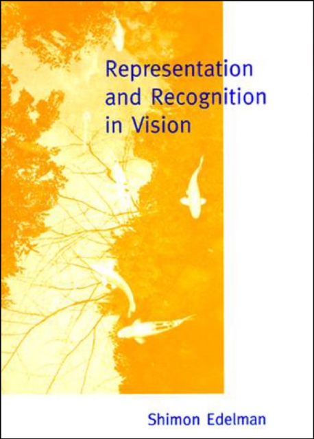 Representation and Recognition in Vision, PDF eBook