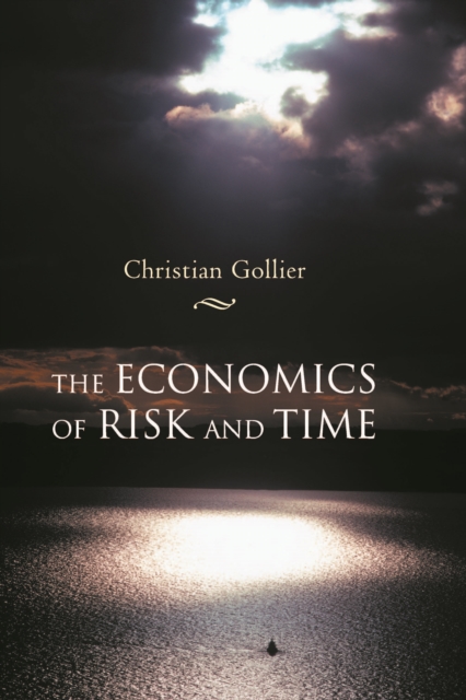 The Economics of Risk and Time, PDF eBook