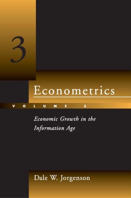 Econometrics : Economic Growth in the Information Age, PDF eBook