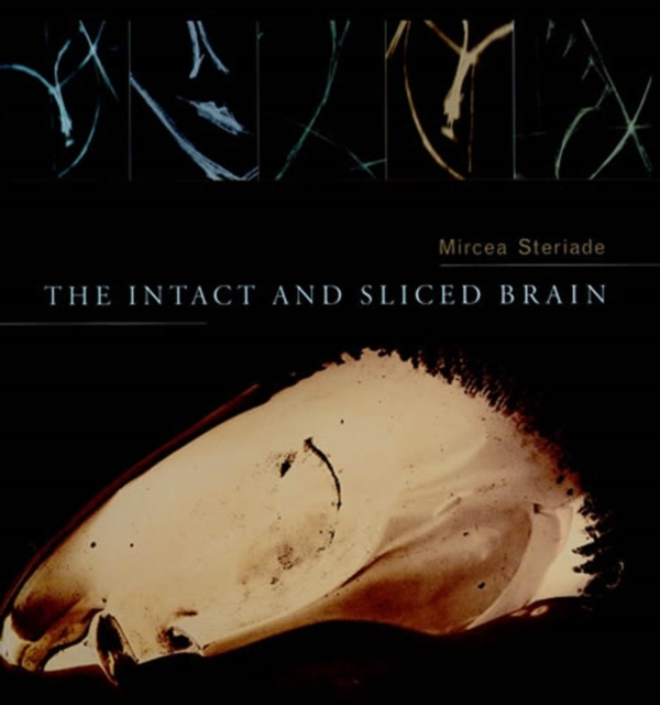 The Intact and Sliced Brain, PDF eBook