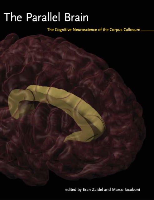 The Parallel Brain : The Cognitive Neuroscience of the Corpus Callosum, PDF eBook
