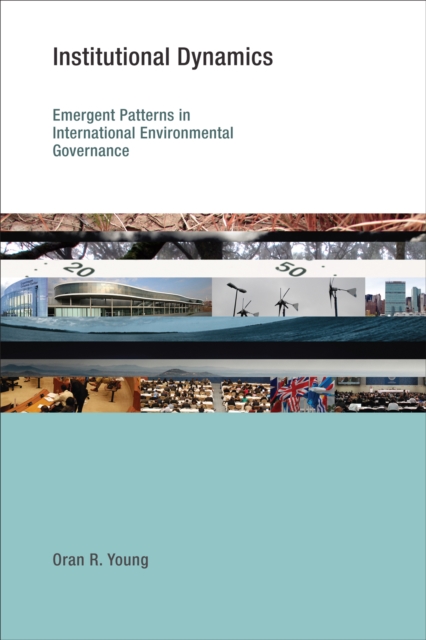Institutional Dynamics : Emergent Patterns in International Environmental Governance, PDF eBook
