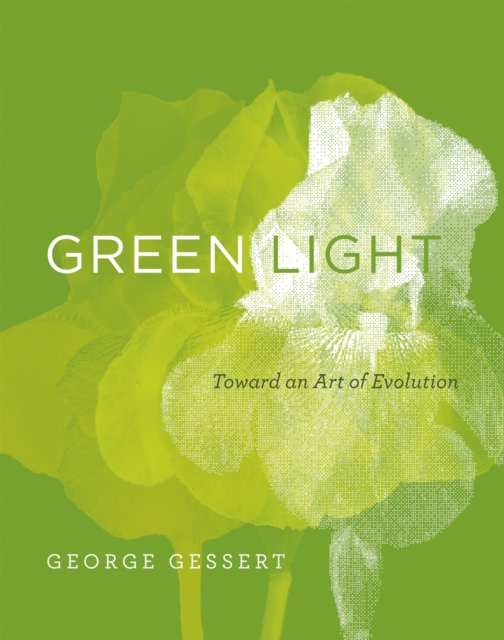 Green Light, EPUB eBook