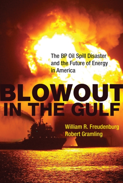 Blowout in the Gulf : The BP Oil Spill Disaster and the Future of Energy in America, PDF eBook