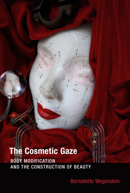 The Cosmetic Gaze : Body Modification and the Construction of Beauty, PDF eBook