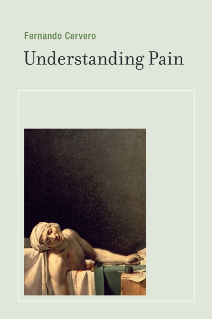 Understanding Pain : Exploring the Perception of Pain, PDF eBook