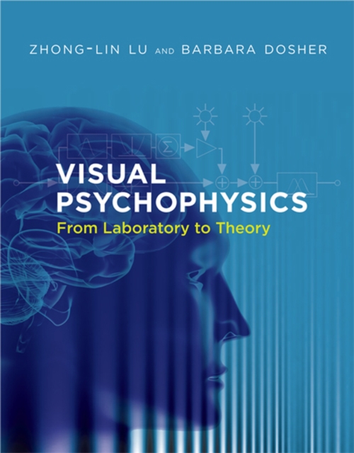 Visual Psychophysics : From Laboratory to Theory, PDF eBook