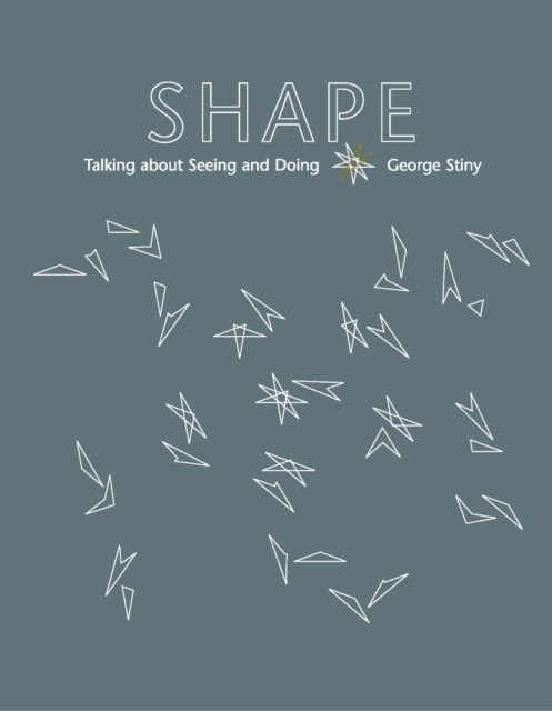 Shape : Talking about Seeing and Doing, PDF eBook